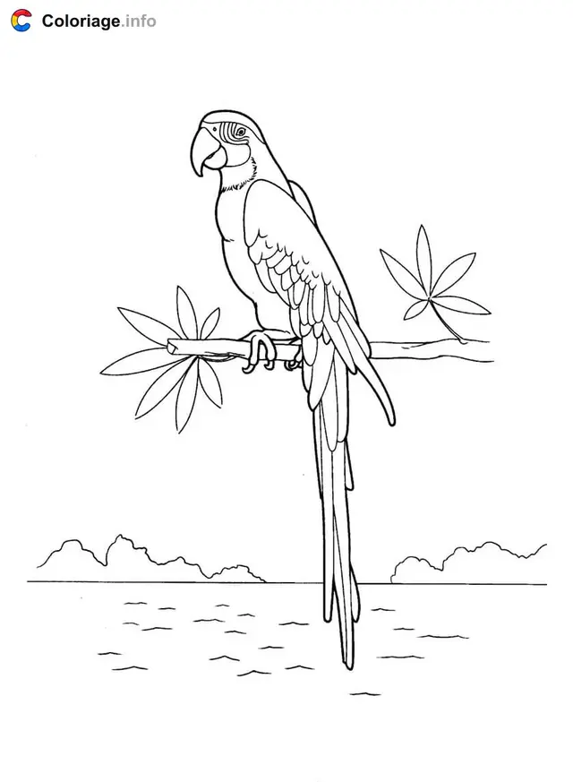 Coloriage Perroquet tropical près de la mer - Perroquet à imprimer