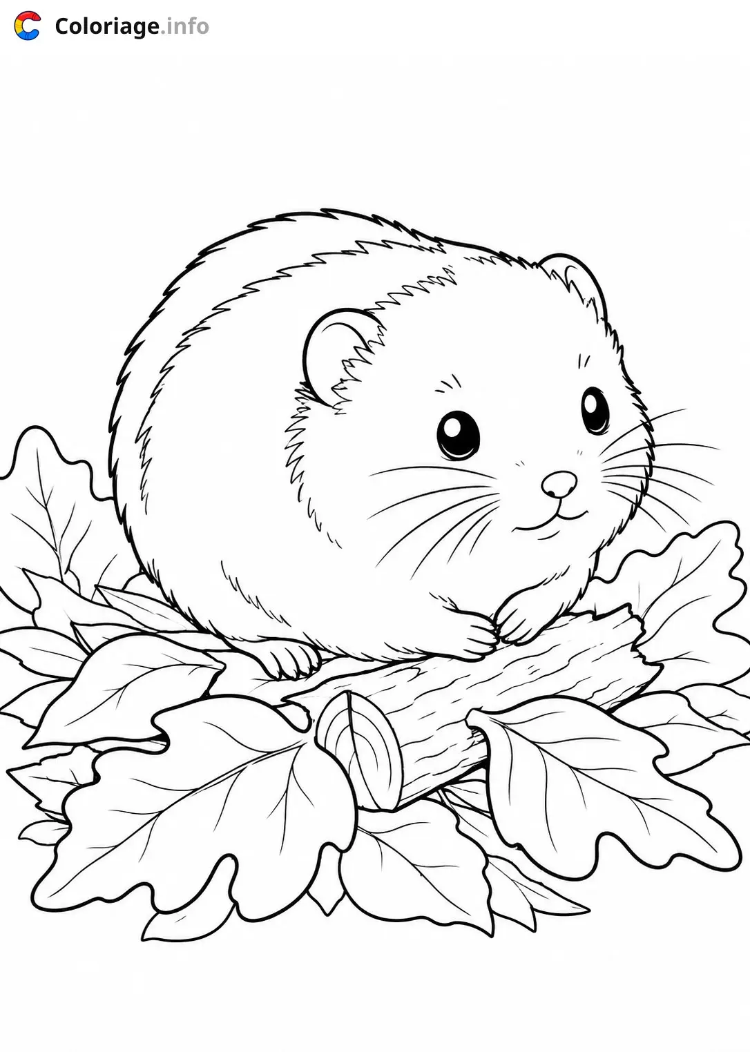 Coloriage Petit cochon d'Inde sur feuilles - Animaux à imprimer