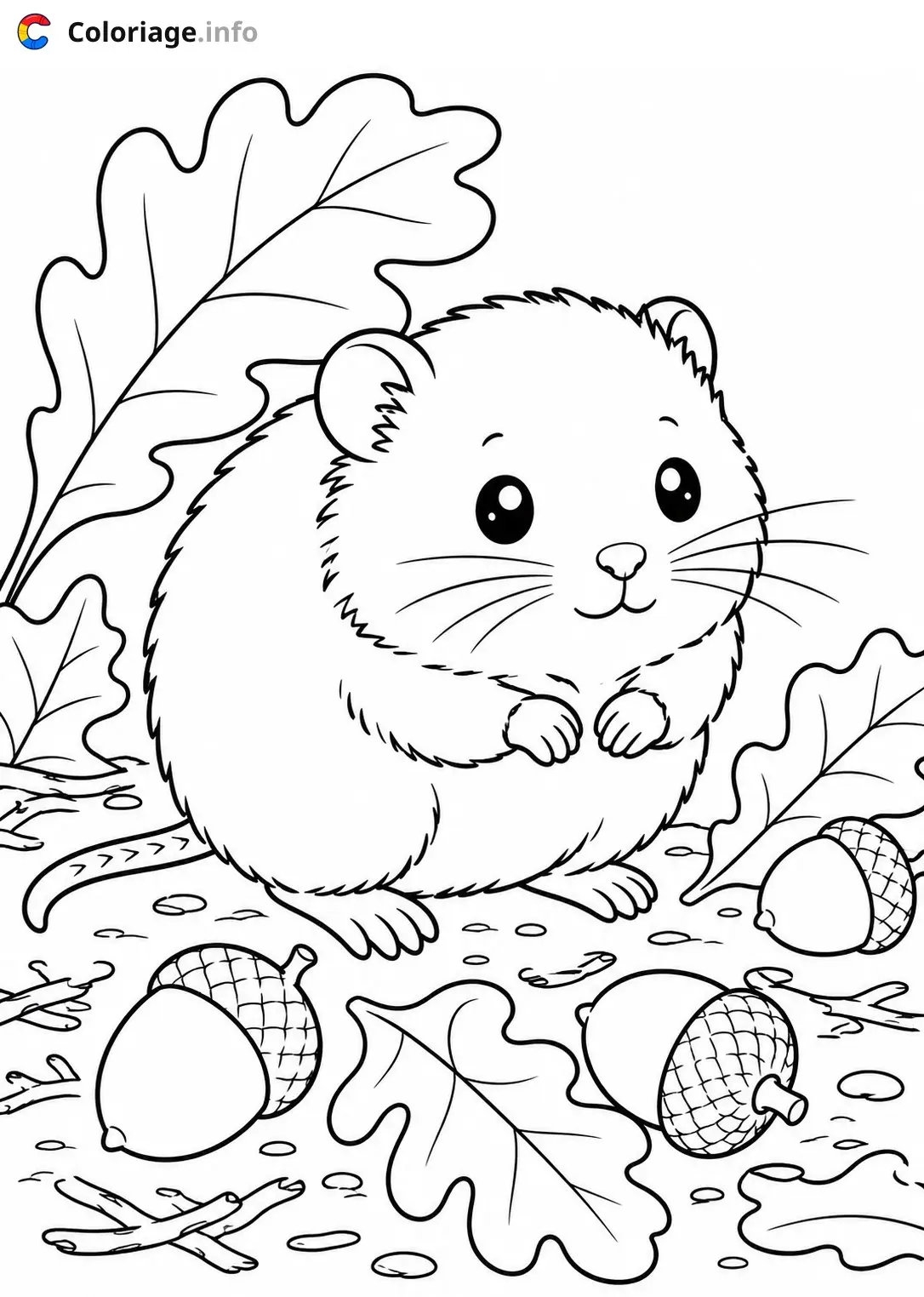 Coloriage Petit hamster dans la nature - Animaux à imprimer
