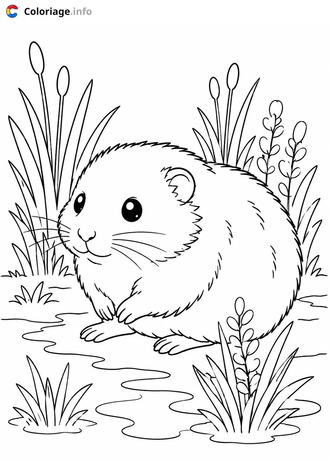 Coloriage Petit rongeur dans les plantes - Animaux à imprimer