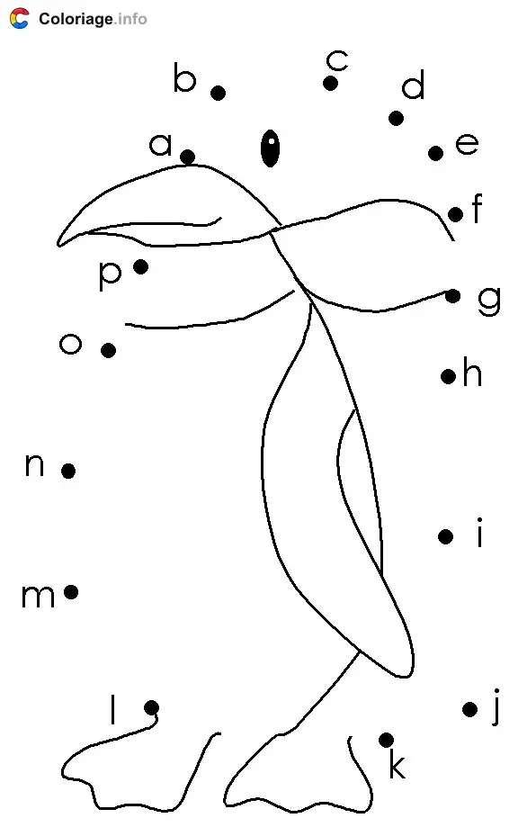 Coloriage Pingouin - Points a relier à imprimer
