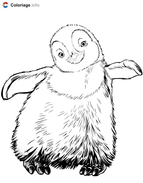 Coloriage Pingouin bebe - Pingouin à imprimer