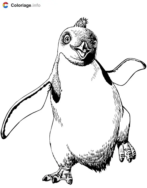 Coloriage Pingouin qui marche - Pingouin à imprimer