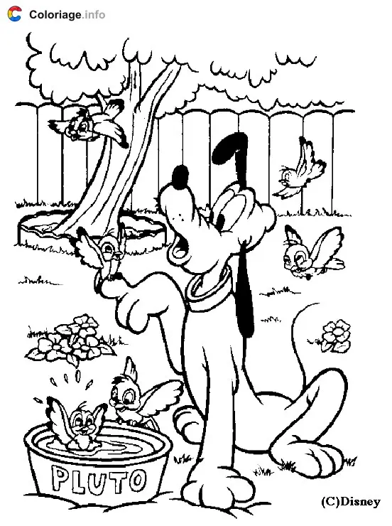 Pluto with Disney Birds coloring page to print