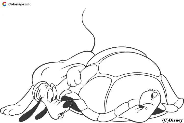 Coloriage Pluto avec une tortue Disney - Pluto à imprimer