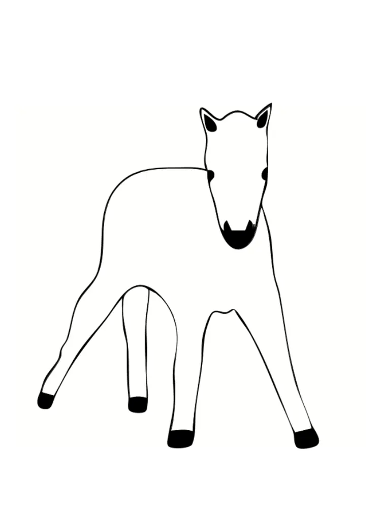 Dibujo de Potro bebé poni para colorear