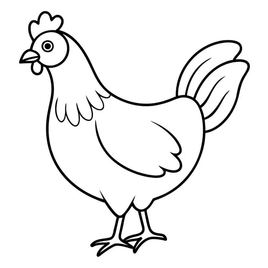 Coloriage Poule Maternelle Traditionnelle Dessin Vectoriel - Poule à imprimer