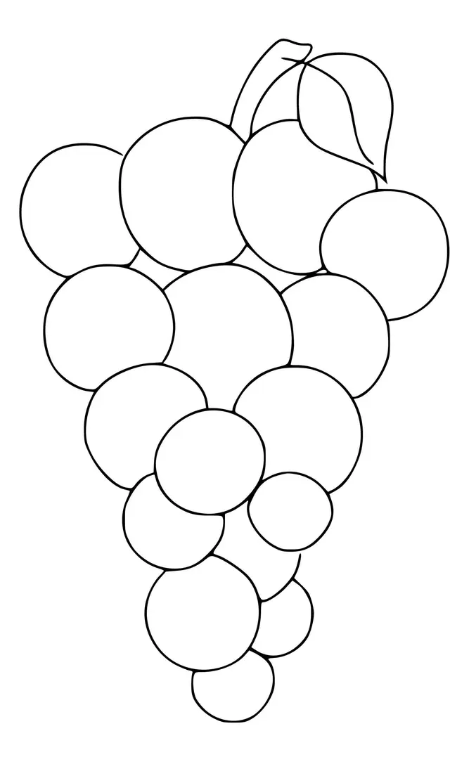 Coloriage Raison - Maternelle à imprimer