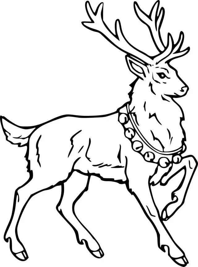 Coloriage Reinne De Noël Réaliste - Renne de Noël à imprimer
