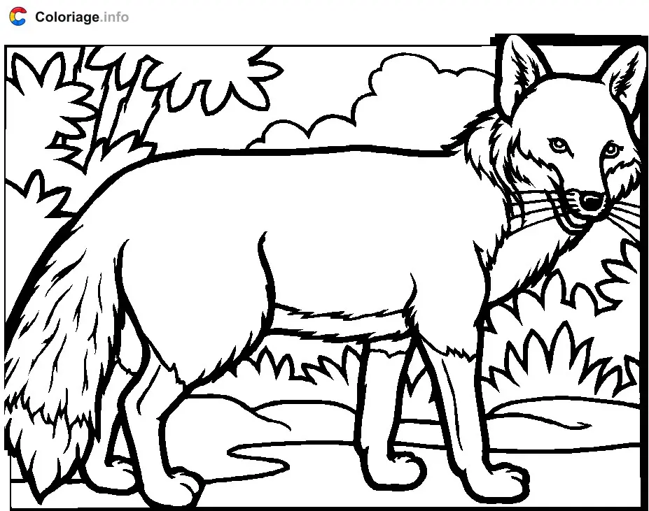 Fox in the Forest coloring page to print