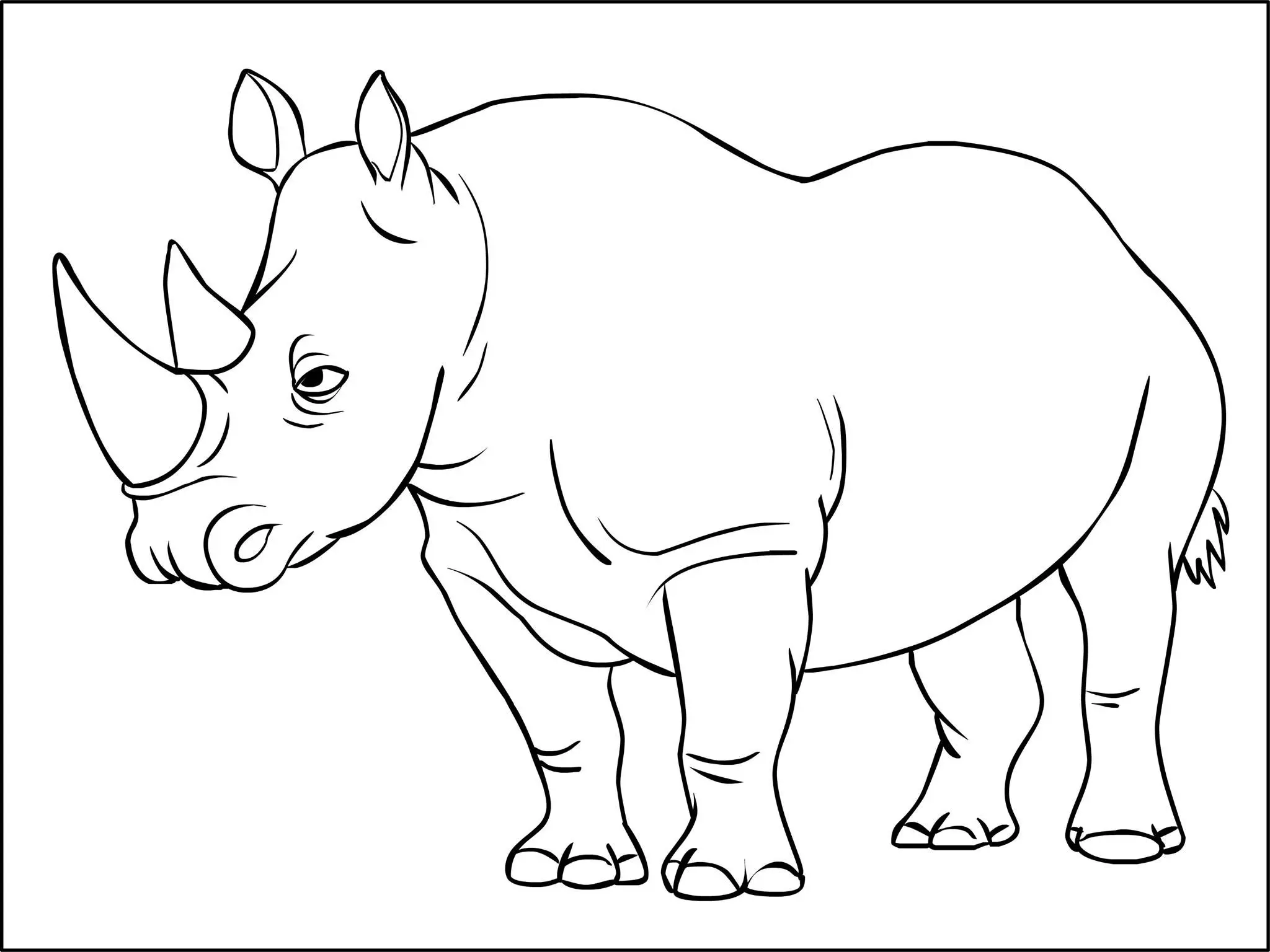 Coloriage Rhinoceros Mammifères Appartenant A La Famille Des Rhinocerotides - Animaux sauvages à imprimer