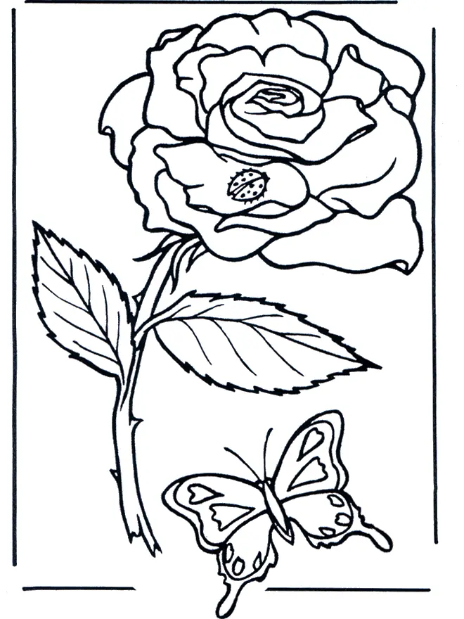 Coloriage Rose romantique en fleur - Rose à imprimer