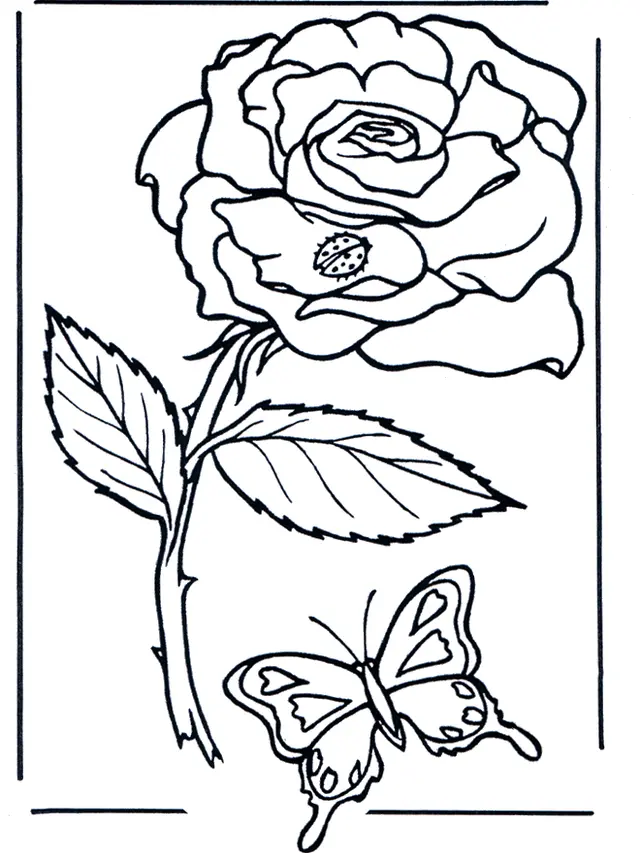 Coloriage Rose romantique en fleur - Rose à imprimer