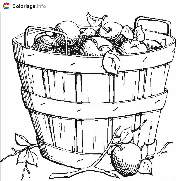 Coloriage Sceau avec des pommes - Automne à imprimer
