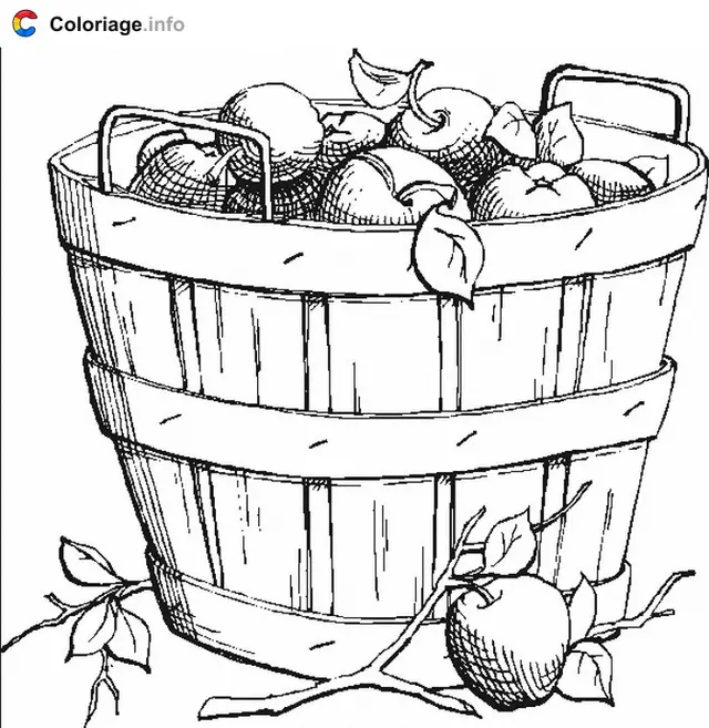 Coloriage Sceau avec des pommes - Automne à imprimer