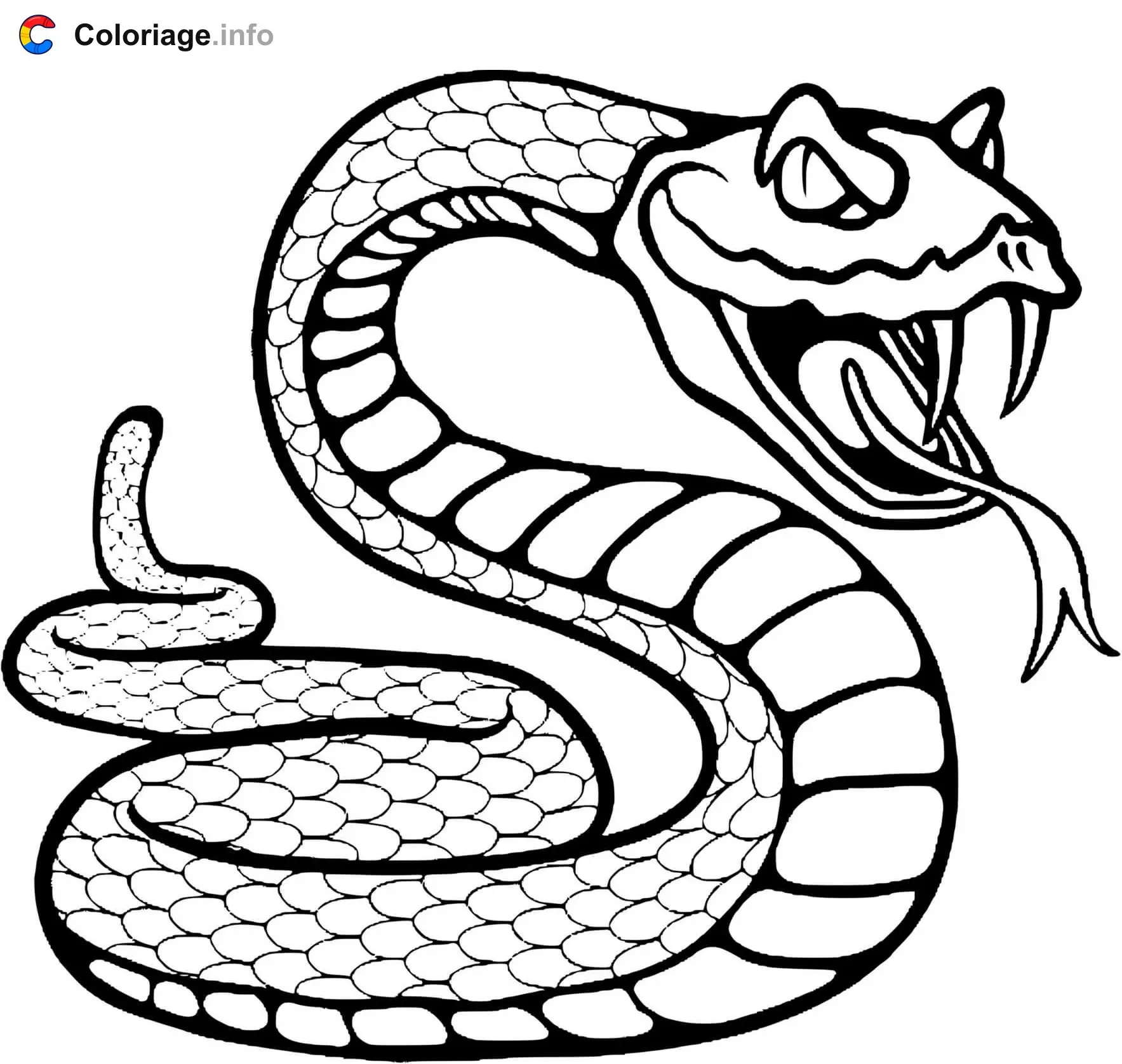 Rattlesnake coloring page to print