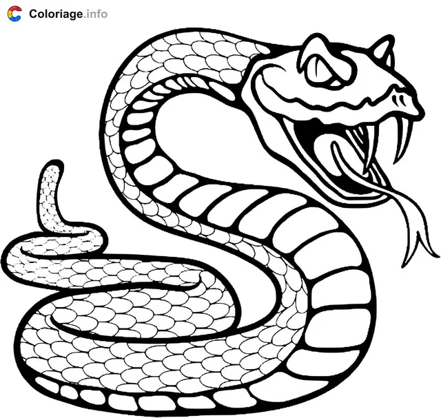 Coloriage Serpent à sonnette - Serpent à imprimer