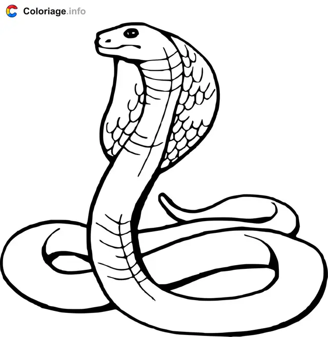 Coloriage Serpent snake - Serpent à imprimer
