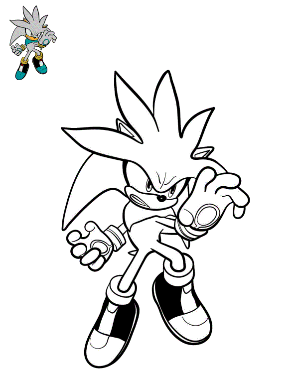 Disegno di Silver il Riccio Grigio da stampare