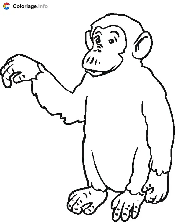 Monkey Reaching Out coloring page to print