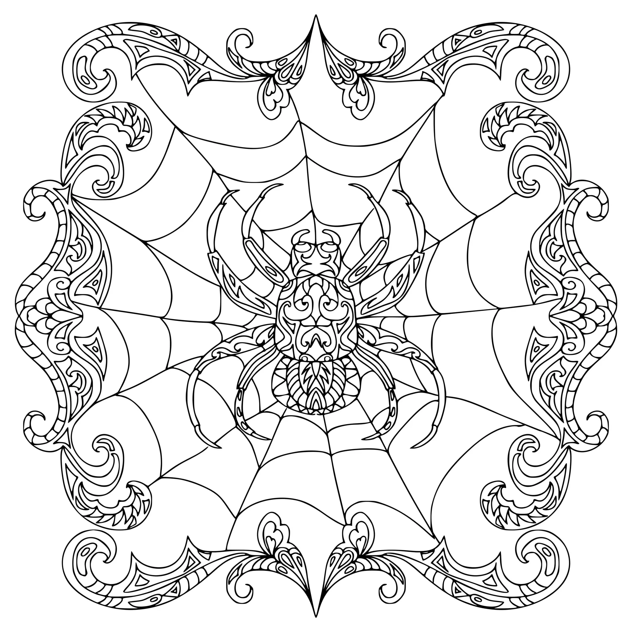 Coloriage Spider Zentangle Araignée - Halloween à imprimer
