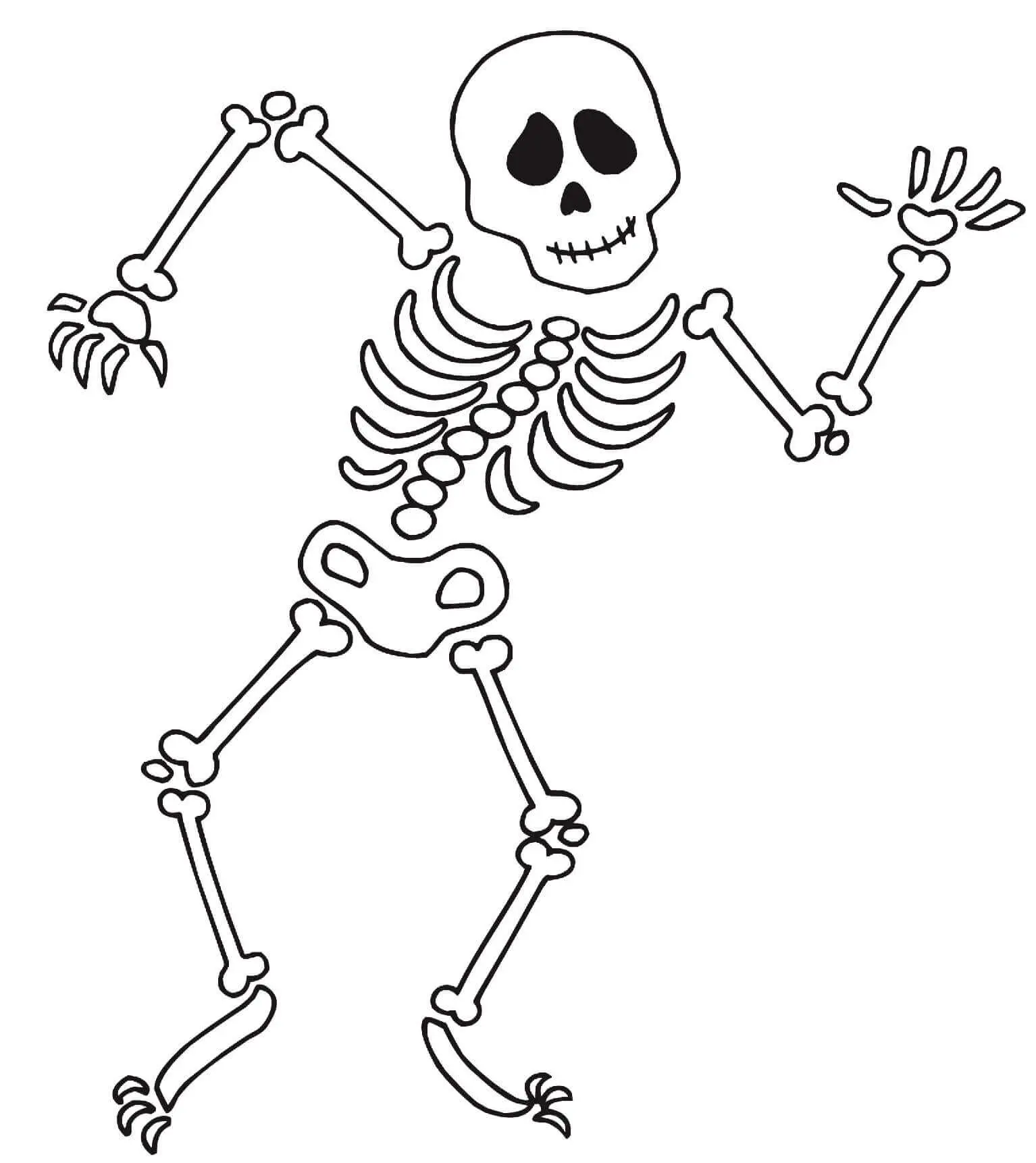 Coloriage Squelette Dansant A Halloween - Squelette à imprimer