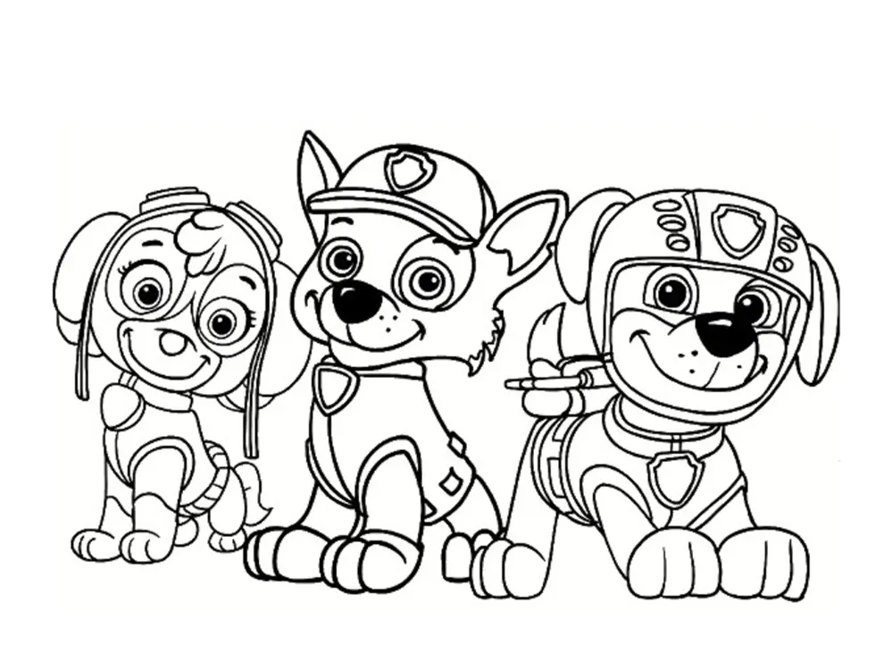 Kleurplaat Stella jaagt Zuma op in Paw Patrol kleurplaten om te printen