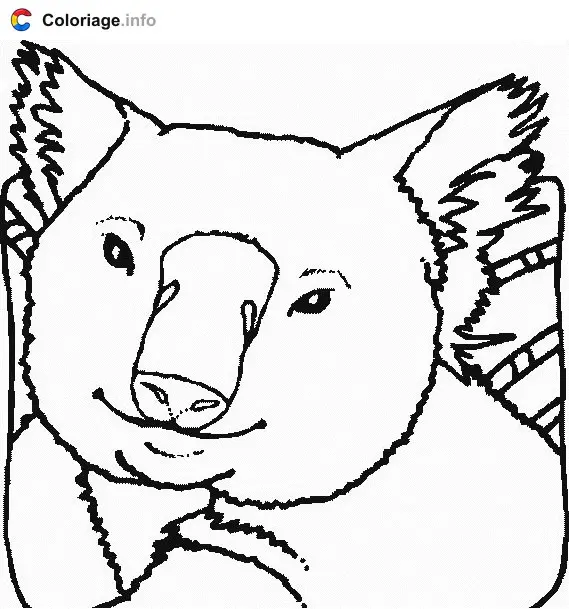 Koala Face coloring page to print