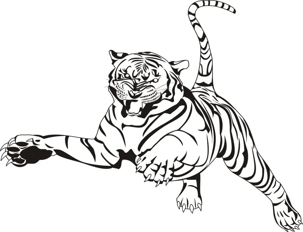 Coloriage Tigre Animal Zoo Adulte - Adulte animaux à imprimer