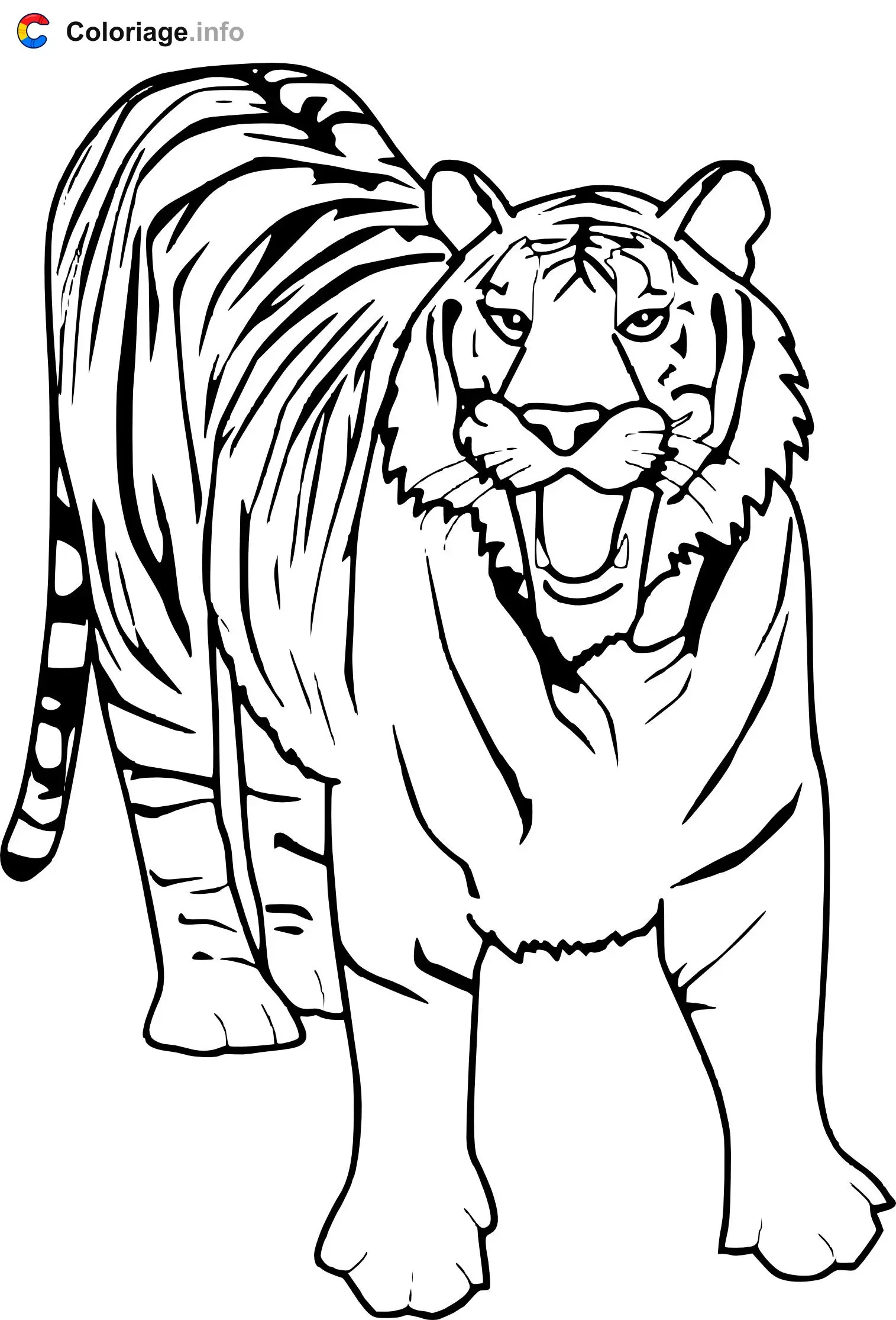 White Tiger coloring page to print
