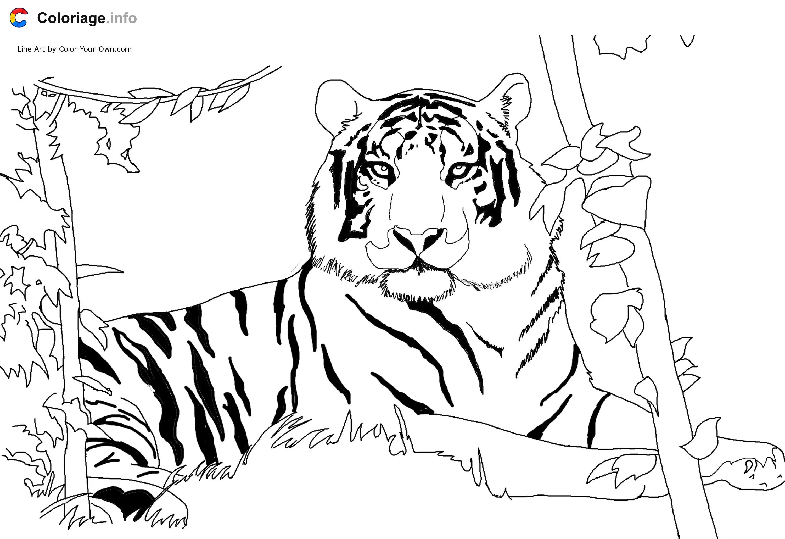 Tiger in Its Natural Habitat coloring page to print