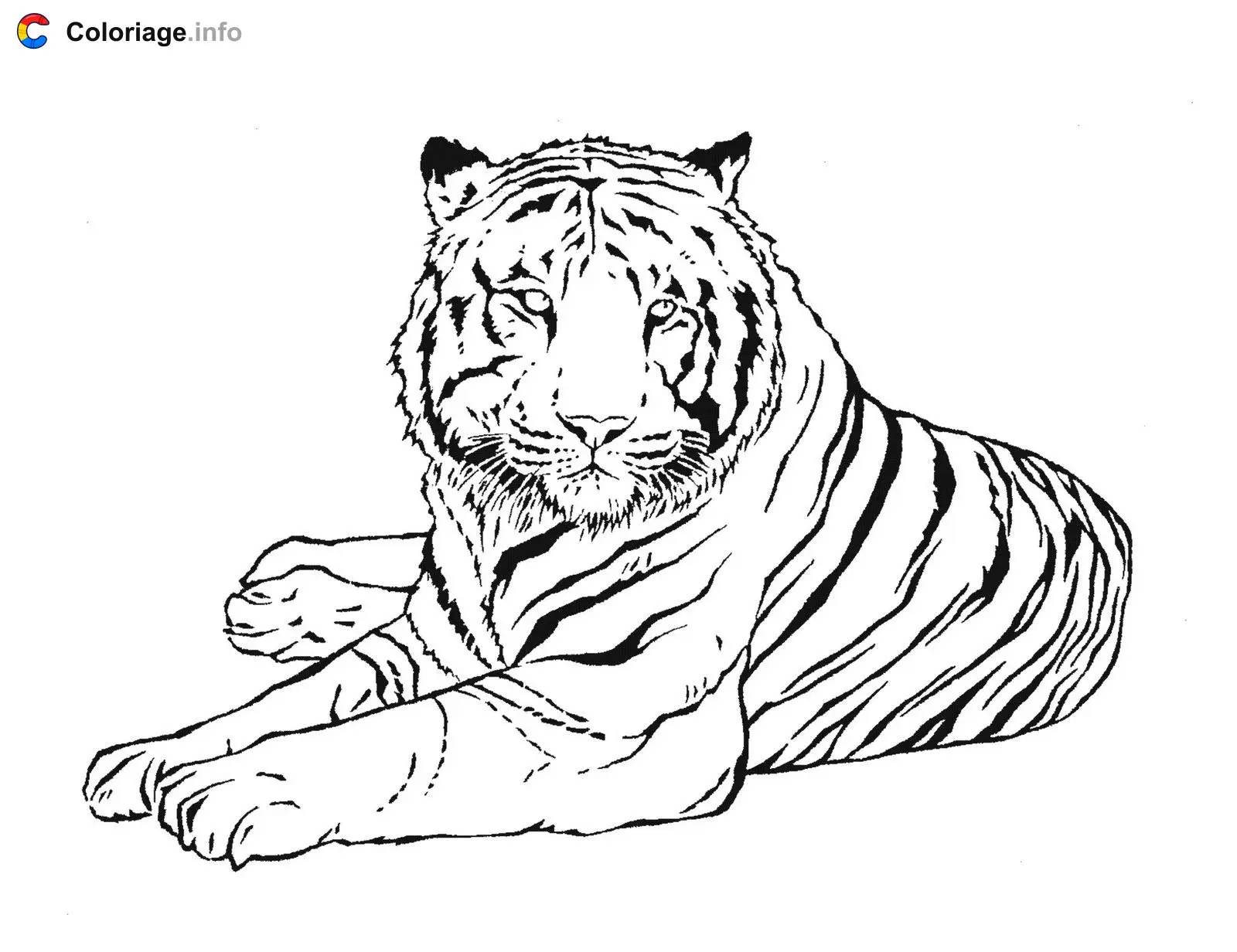 Tiger from Buenos Aires coloring page to print