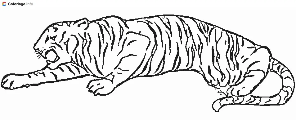 Tiger Leaping Through the Air coloring page to print