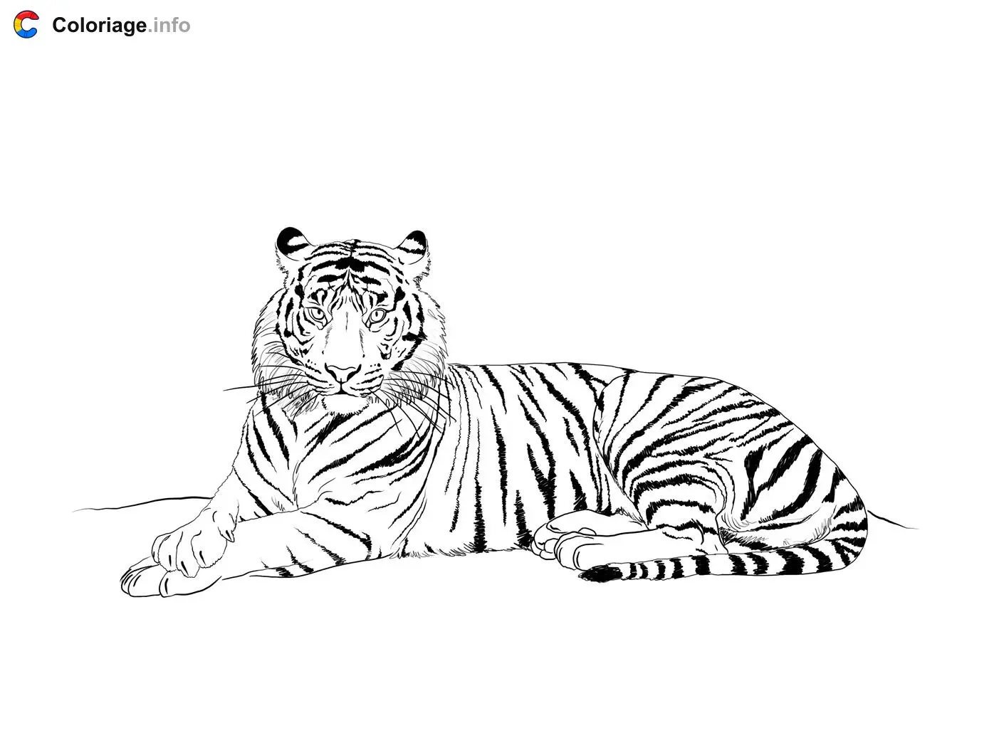 Realistic Tiger Carnivore Mammal coloring page to print