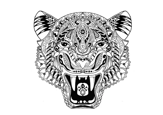 Coloriage Tigre Mandala Zentangle Pour Adulte - Tigre à imprimer