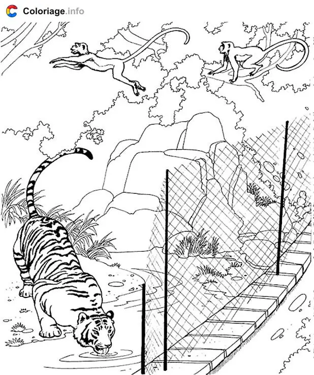 Tiger Drinking Water with Monkeys coloring page to print