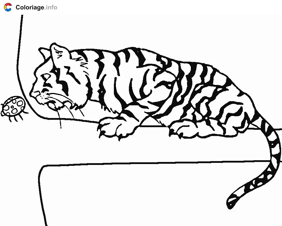 Tiger on a Branch with a Ladybug coloring page to print