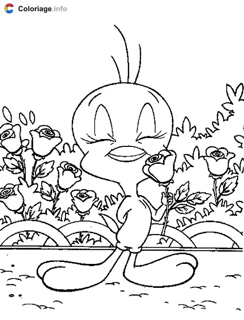 Tweety with Roses coloring page to print