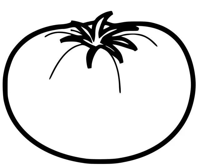 Coloriage Tomate Fruit Simple - Tomate à imprimer