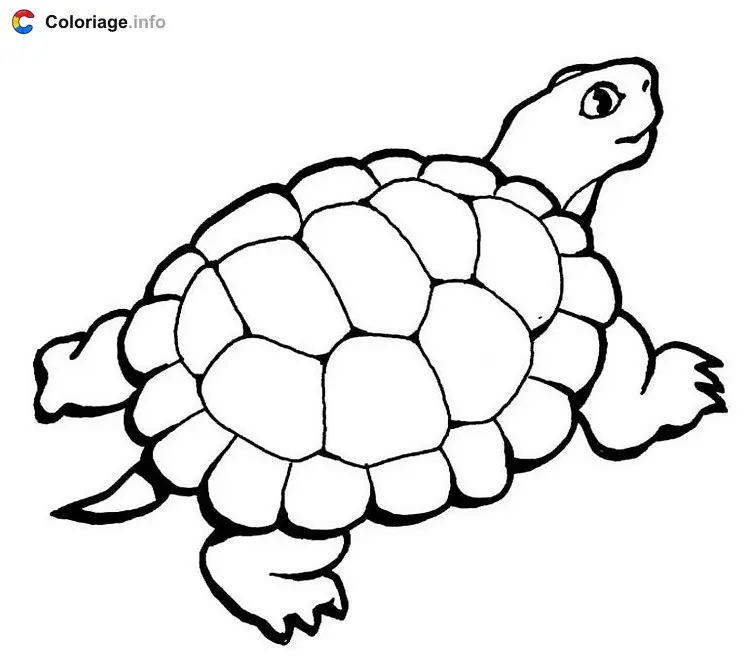 Turtle with a Tail coloring page to print