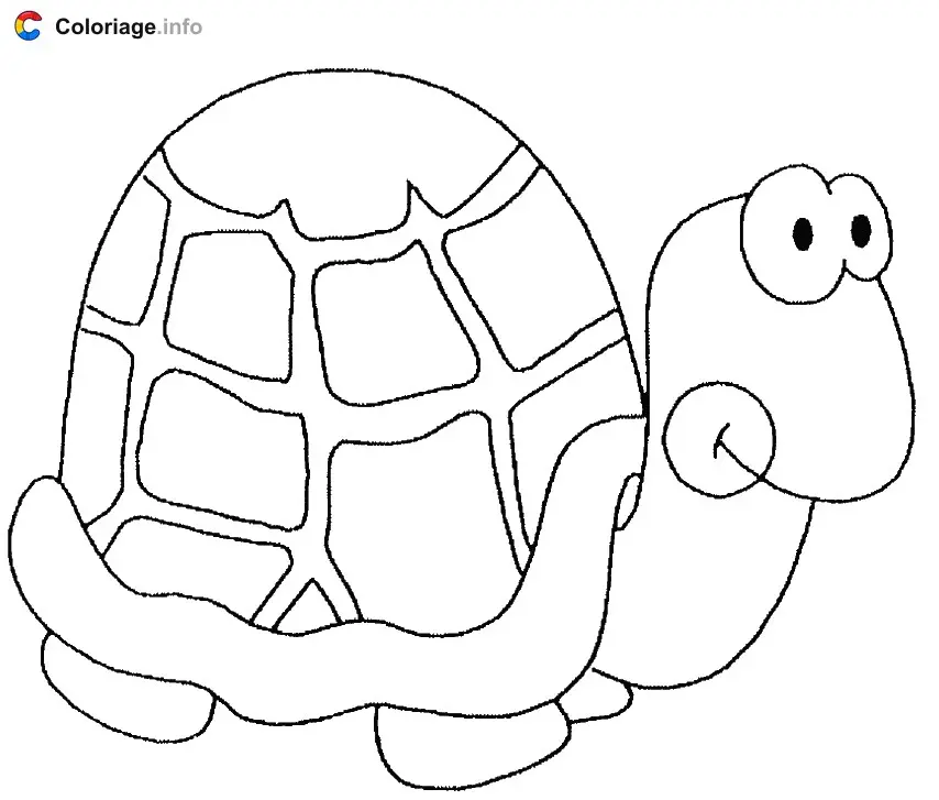 Turtle with a Round Shell coloring page to print