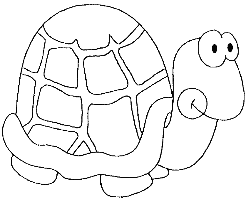Coloriage Tortue Avec Une Carapace Ronde - Animaux à imprimer