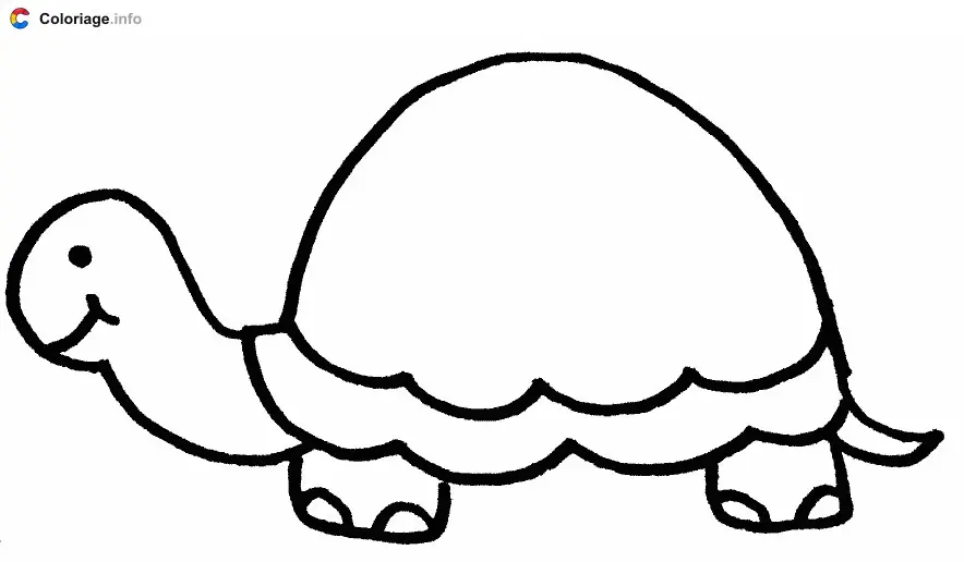 Turtle with a Plain Shell coloring page to print