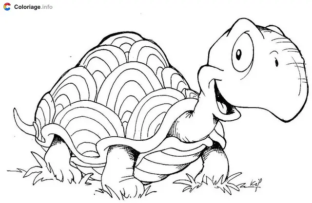 Coloriage Tortue dans l'herbe - Tortue à imprimer