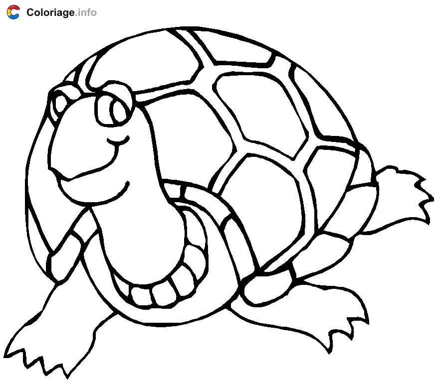 Turtle Face-On coloring page to print