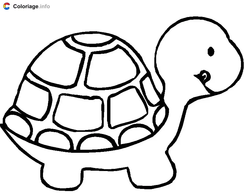 Turtle in Profile coloring page to print