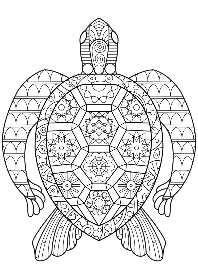 Coloriage Tortue Mandala Zentangle - Tortue à imprimer