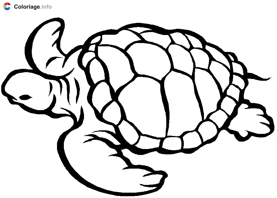 Sea Turtle coloring page to print
