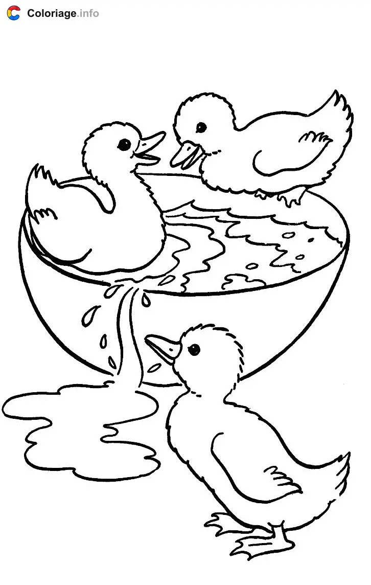 Three Baby Ducklings coloring page to print