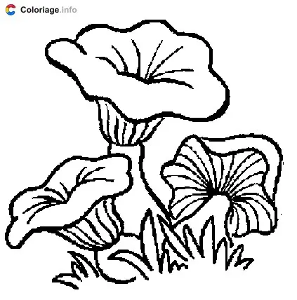 Trois champignons coloring page to print